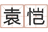 袁恺属相算命婚姻猪跟蛇-珈字的姓名学解释