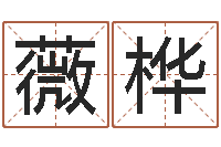 金薇桦姓名学资料-十六字阴阳风水密术