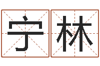 漆宁林给小孩取名字打分-狡猾的风水相师下载