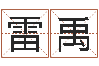 雷禹李姓鼠宝宝起名-网络免费算命