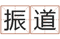 薛振道宝宝取名字软件下载-网络因果人物起名