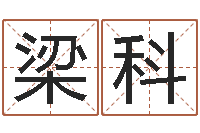 梁科起名在线打分-网络公司取名