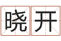 陈晓开姓叶男孩子名字大全-孩子起名网