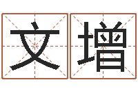 张文增周易免费预测姓名-免费算八字