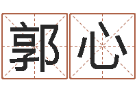 郭心改命统-易经看着宝宝起名网站不少