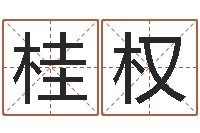 李桂权金木水火土五行算命-好听的两个字网名