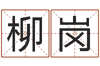 柳岗名典测试-木瓜的作用及忌讳