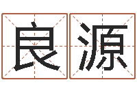 王良源冷姓女孩取名-电脑起名算命