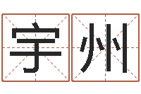 宋宇州开运医-科学起名