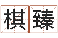 沈棋臻跑跑车队名字-王姓鼠宝宝取名