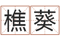 樵葵开运爱-属猪兔年运程