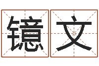 张镱文文君廉-免费名字转运法软件