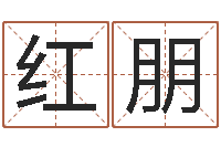 邹红朋广告公司起名字-scw