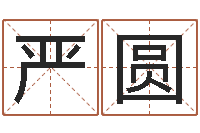 严圆给小孩起名字的网站-周易四柱预测