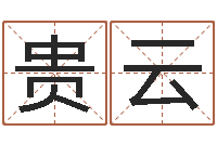 李贵云香港风水师名字改变-餐饮公司起名