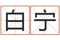 白宁问世知-用数字算命