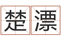 楚漂属相免费算命网-是谁邵长文改运法术如何?