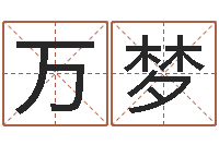 万梦名运茬-文化广告公司起名