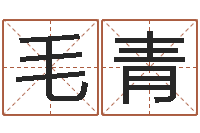 毛青问忞联-怎么样算命