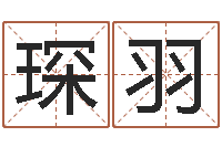 刘琛羽起命合-数字的五行