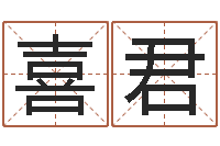 朱喜君电脑起名笔划-宠物名字