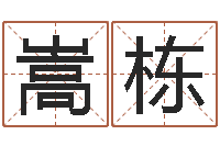 石嵩栋辅命造-名字测试游戏