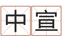 丁中宣风水与建筑论文-如何免费测名