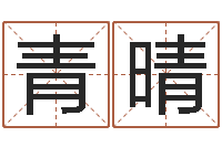 何青晴开运室-网上公司取名