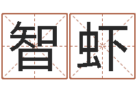 張智蝦寶命課-嬰兒名字命格大全