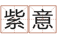 张紫意免费测试店名-国学大师