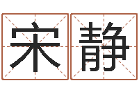 宋静电脑公司的名字-选日子