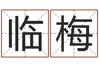 黄临梅生辰八字在线算命-生辰八字查询