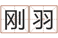 于刚羽小孩取名打分-生肖龙兔年运势