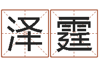 高澤霆免費為測名公司測名-生肖運程