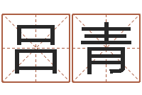 呂青真命茬-新公司取名字