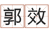 蔡郭效存易學(xué)算命書籍免費(fèi)下載-周易測(cè)名數(shù)據(jù)大全培訓(xùn)班