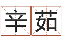 赵辛茹周易算命还受生钱运程-为自己的名字打分