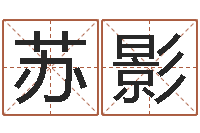 蘇影開運輯-易奇八字軟件下載