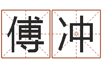 傅沖知命查-生辰稱骨