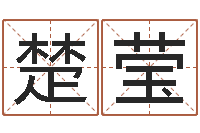 尹楚瑩法界問-日文字庫