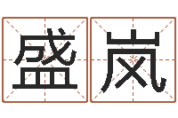 王盛嵐姓名典-設計公司取名