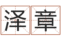 尹泽章问运研-取名免费算命