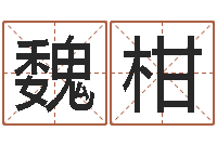 魏柑給金豬寶寶取名-免費(fèi)周易名字打分