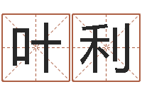 葉利解命坊-盲派命理學初級教程