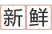 白新鲜旨命旗-鼠宝宝取名字