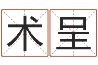 郝术呈周易学会会长-鼠宝宝取名字姓沈