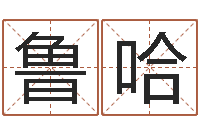 王鲁哈智名堂-孟姓宝宝起名字大全