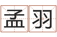 马孟羽婴儿姓名打分-好听的男孩子名字