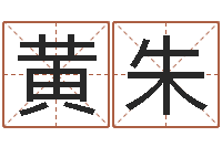 黄朱法界仪-起名网免费取名