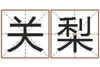 關(guān)梨變運身-李姓男孩取名常用字